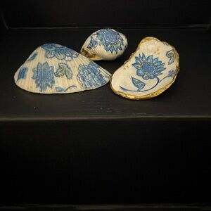 SEASHELLS for decoration